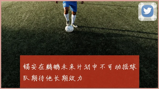 锡安在鹈鹕未来计划中不可动摇球队期待他长期效力