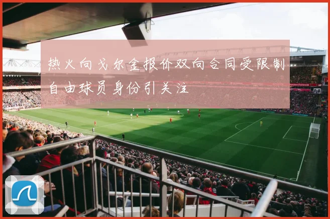 热火向戈尔金报价双向合同受限制自由球员身份引关注